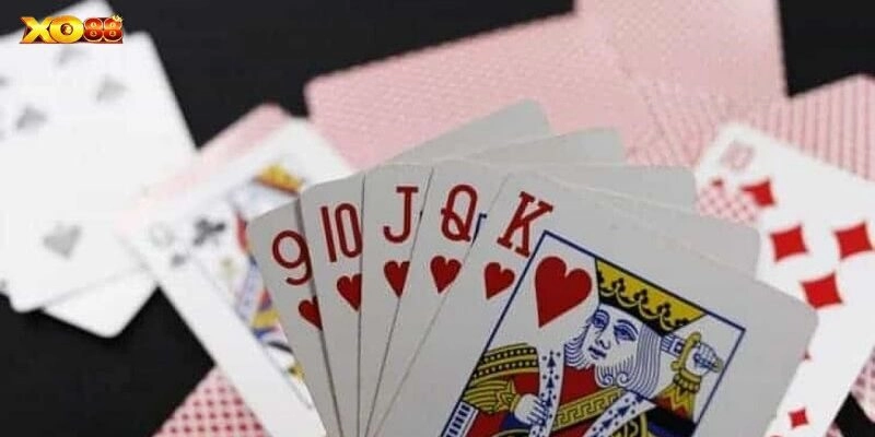 Trải nghiệm cá cược hấp dẫn với hướng dẫn cơ bản cho hội viên