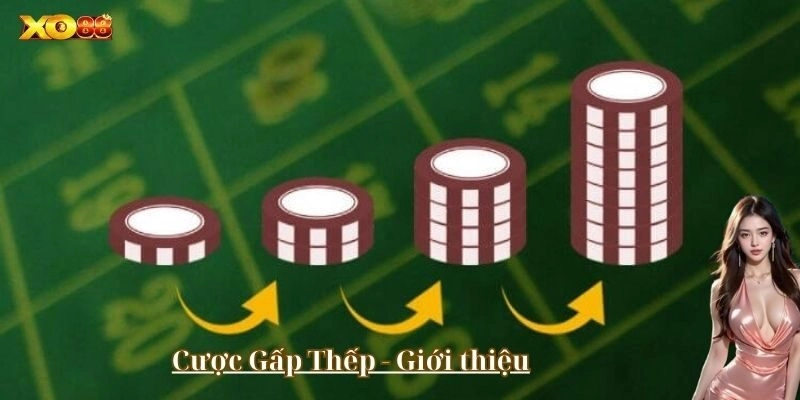 Cược Gấp Thếp - Có dễ không?