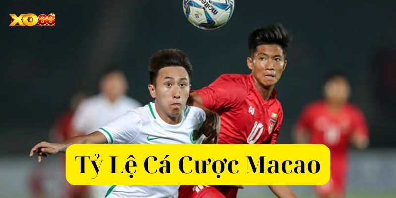 Bí kíp đọc tỷ lệ từ cao thủ