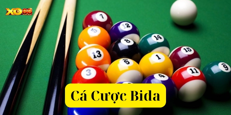 Các bước hướng dẫn