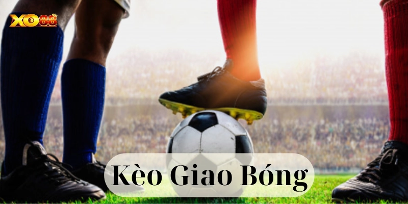 Mẹo từ chuyên gia