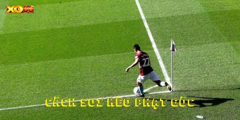 Giới thiệu đôi nét về cách soi kèo phạt góc độc đáo