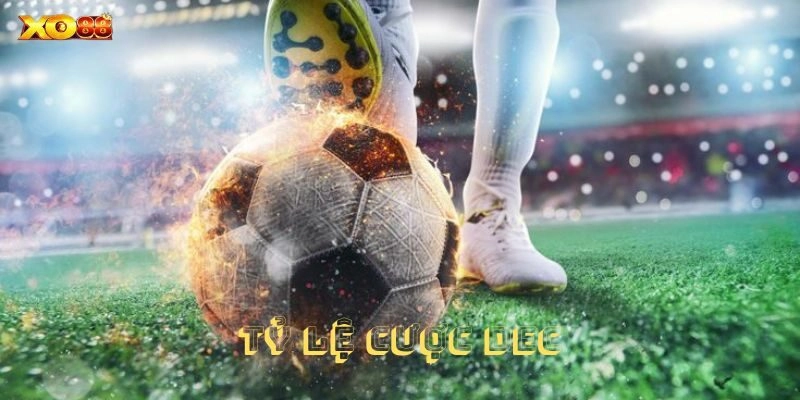 Thu thập tất cả thông tin liên quan về trận đấu