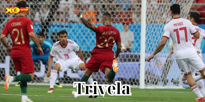 Các loại kèo về Trivela