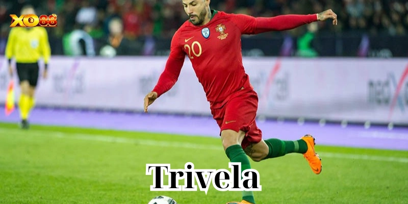 Khái niệm về kèo Trivela