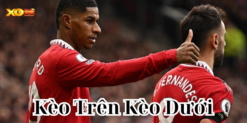 Tuyệt chiêu để bắt kèo trên kèo dưới