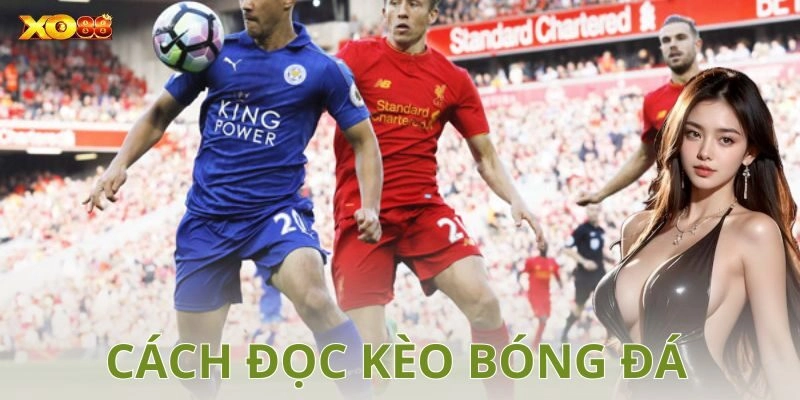Cách đọc kèo bóng đá dễ hiểu hơn qua các ví dụ