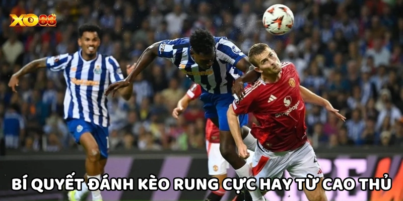 Kèo Rung Là Gì? Bí quyết đánh kèo dành cho tân thủ