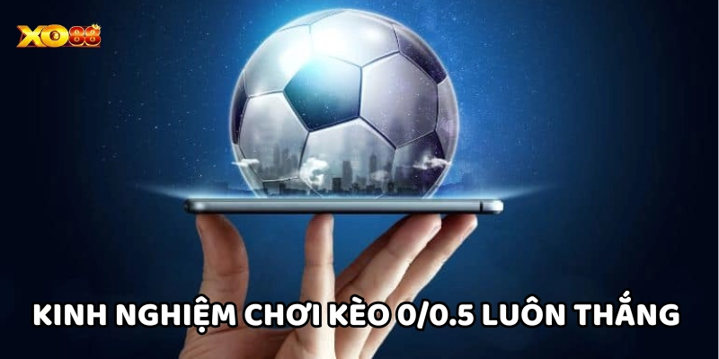 Kèo 0/0.5 – Cách Soi Kèo Chuẩn Xác Từ Cao Thủ Chuyên Nghiệp