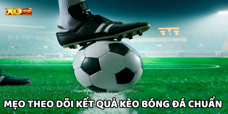 Mẹo hay theo dõi kết quả chuẩn xác