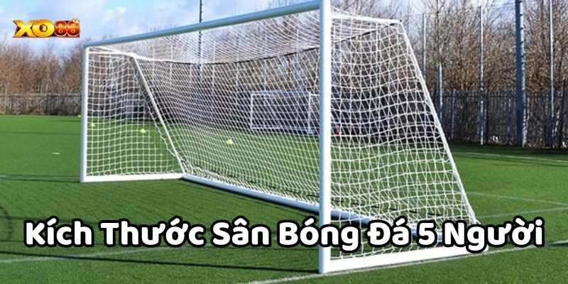 Các thông tin về Kích Thước Sân Bóng Đá 5 Người