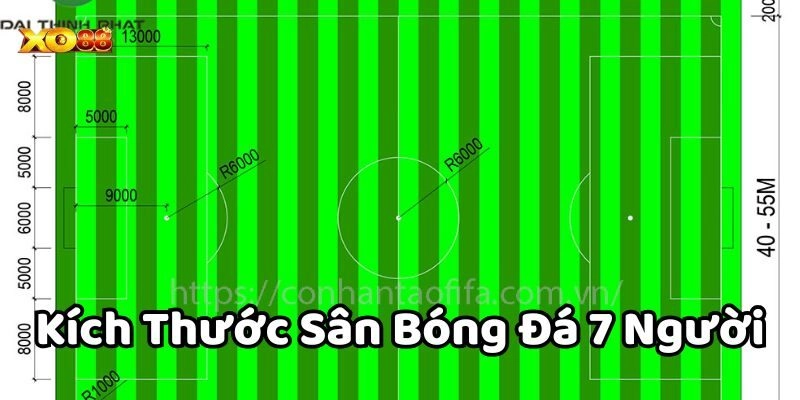Điều lệ trong Kích Thước Sân Bóng Đá 7 Người