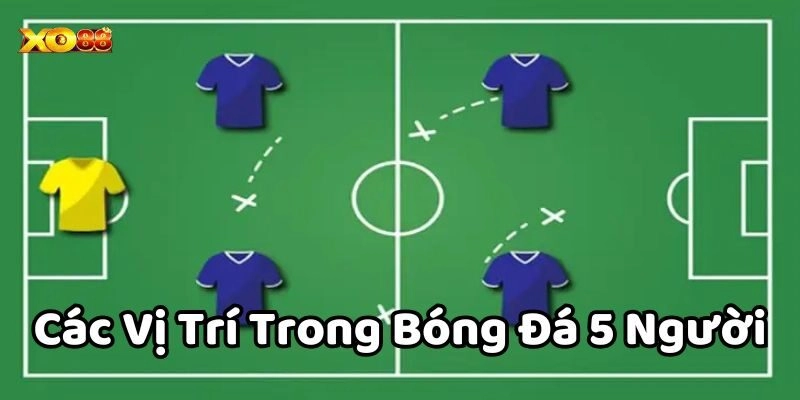 Những chú ý khi triển khai các vị trí trong bóng đá 5 người