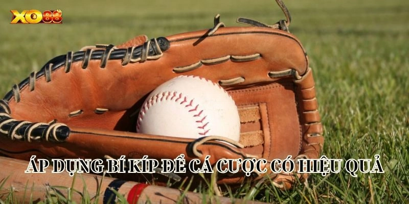 Áp dụng bí kíp để cá cược có hiệu quả