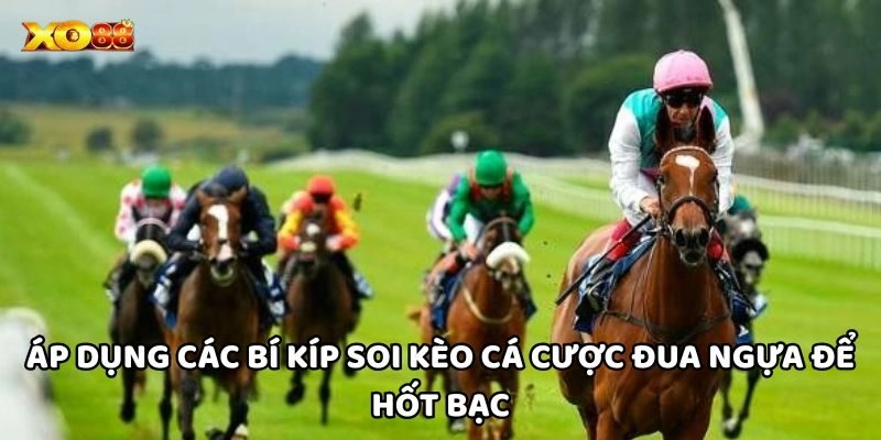 Áp dụng các bí kíp soi kèo Cá Cược Đua Ngựa để hốt bạc