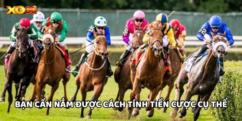 Bạn cần nắm được cách tính tiền cược cụ thể