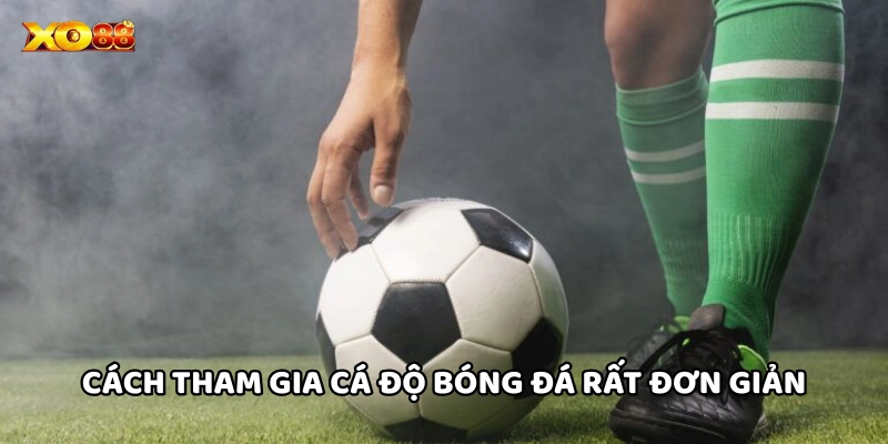 Cá Độ Bóng Đá