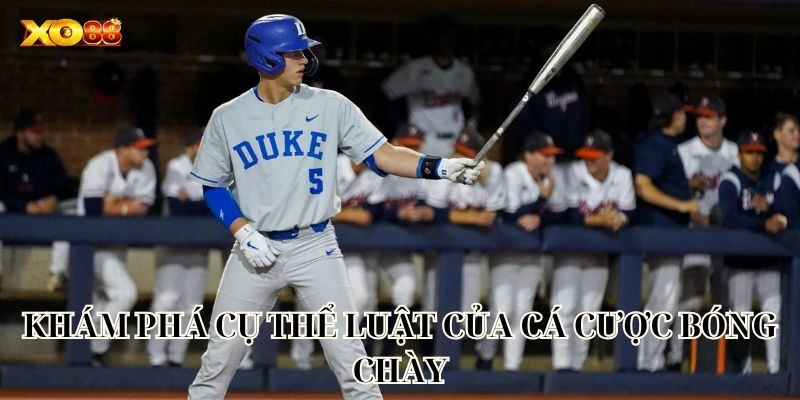 Cá Cược Bóng Chày