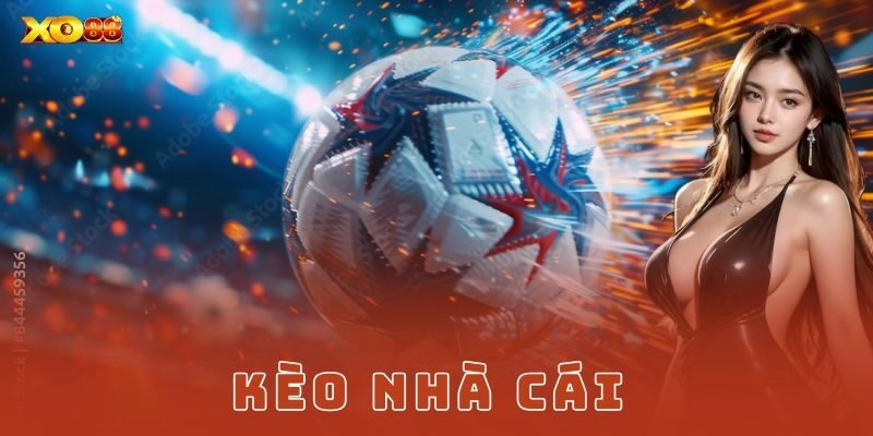 Kèo nhà cái là gì và vì sao quan trọng?